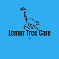 Lemur Tree Care LLC
