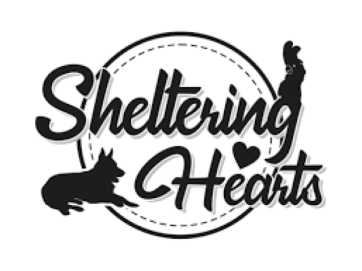 Sheltering Hearts