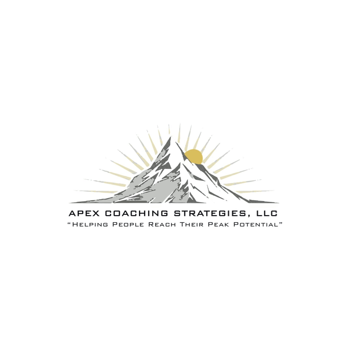 Apex Coaching Strategies Central PA Chamber Of Commerce