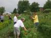 Blooming Meadows Farm